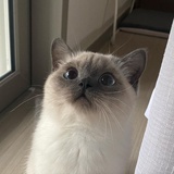 💜