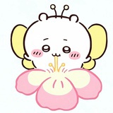 躲猫猫社长zozo