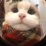 买了又不用