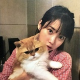 佳是仙女慧
