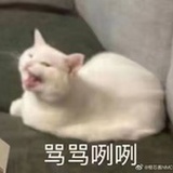 已 注 销