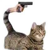 snekabdka_