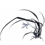 兰下