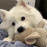 我才是真奥奥
