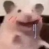 米兰·困的拉🥱