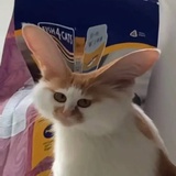 ʟɪʟɪʟʟʏ♥︎