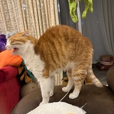 曾有某位