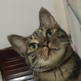苏昀