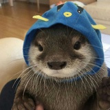 秋千索