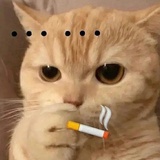 豆友155695695