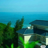 柏拉圖沒有理想