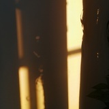Ve