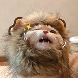 小心儿