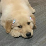 哎哟