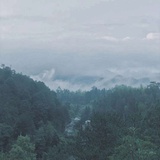 蔺心洲