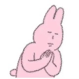 Suri