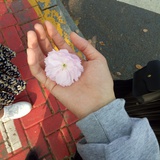 尒氾