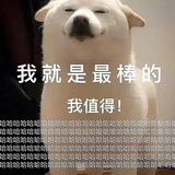 一定要养修狗