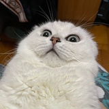 黑色星云