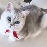 柚子子