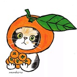 yayoi