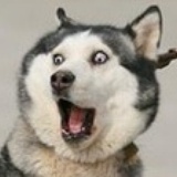 王拾久