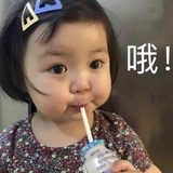 喵了个咪