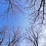 静下来