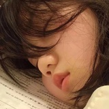 懒懒🦭