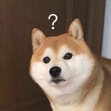 布纳萨兰