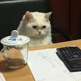 烤热面