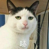 别浪