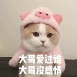 请叫我肚子疼