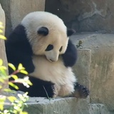 Zzzzzz(◞◟ )