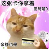 工资小偷