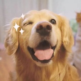 王艺瑾