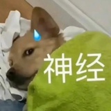 冰吸生椰拿铁