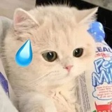 不麦就滚蛋