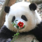 惊蛰