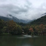 CMQ