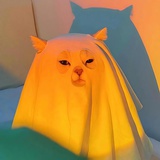小白天