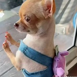 ツリー