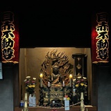 金波特教授