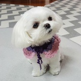 。。