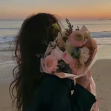 一只羊儿