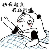谈恋爱不如嗑CP