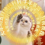 跳水冠军陆依萍