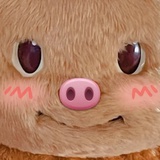 少废话