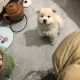 指示如下