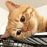 雾月山看不清